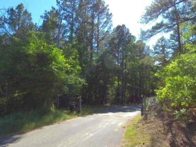 Cedar Glade Spring, Arkansas [Hot Springs]