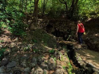 Display Spring: Hot Springs in Arkansas